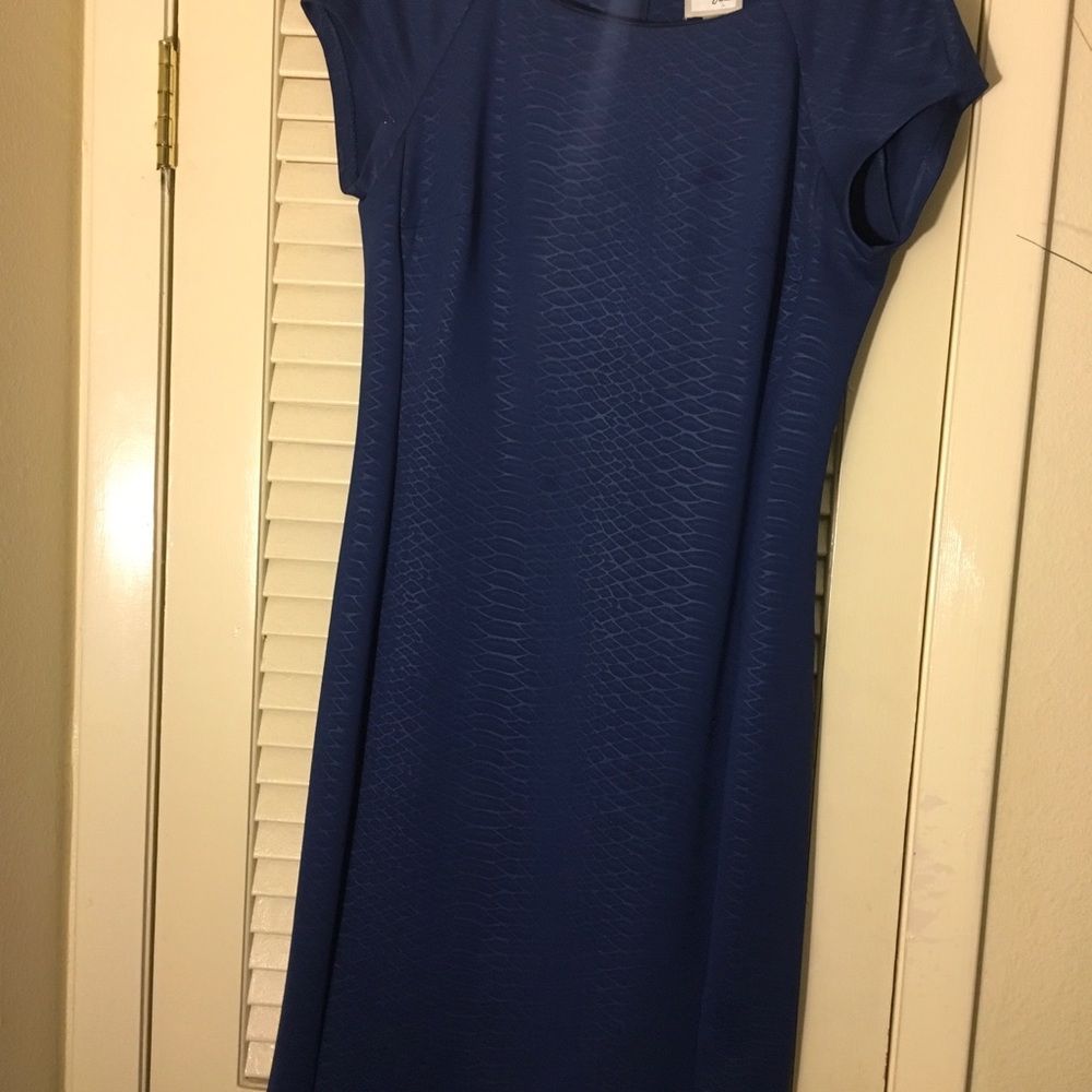 Blue dress